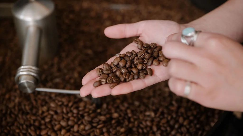 Coffee Tasting 101: Developing a Palate for Flavor Profiling