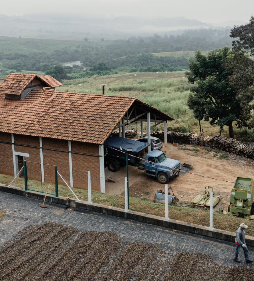 Rethinking Organic Certification: Celebrating Small-Scale Coffee Growers