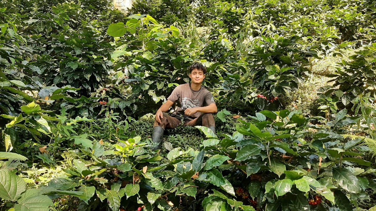 Investing in the Future: How Young Producers in Honduras Are Building a Better Coffee World