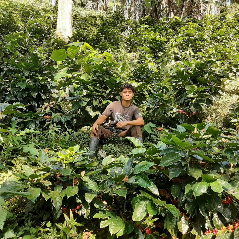 Investing in the Future: How Young Producers in Honduras Are Building a Better Coffee World