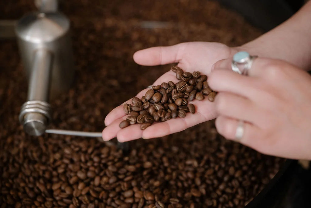 Coffee Tasting 101: Developing a Palate for Flavor Profiling