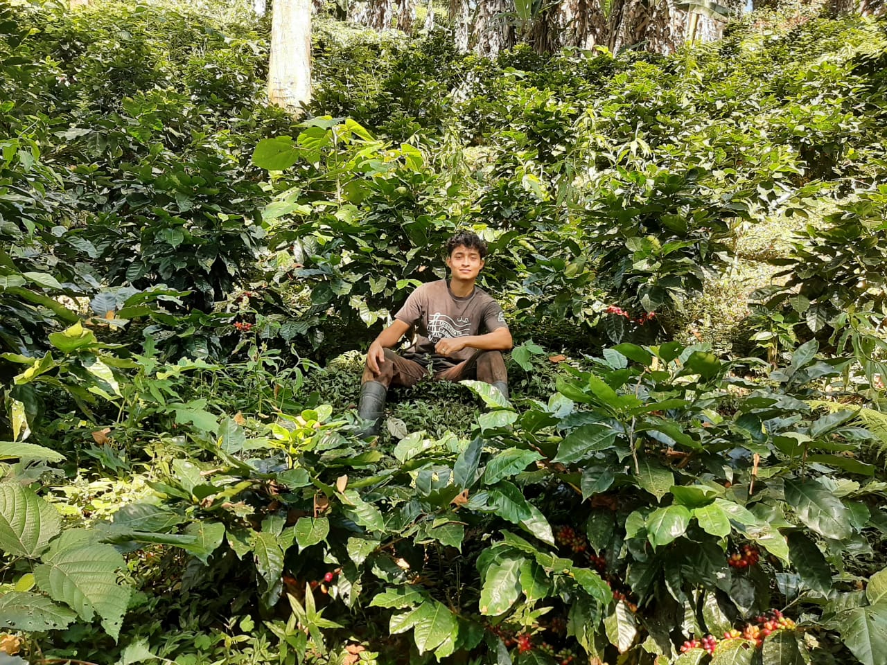 Investing in the Future: How Young Producers in Honduras Are Building a Better Coffee World