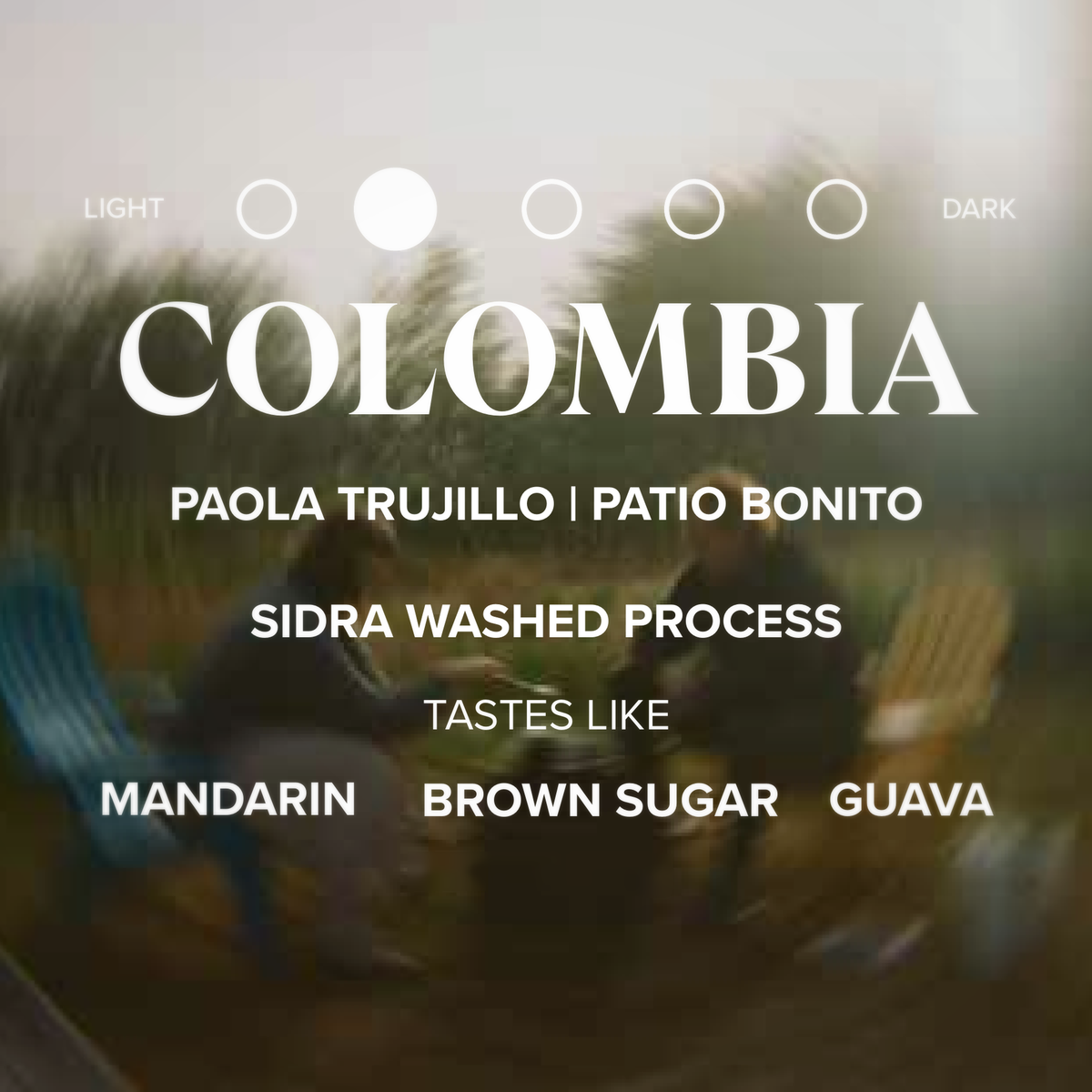 Photo of Colombia • Sidra Washed • 5lb