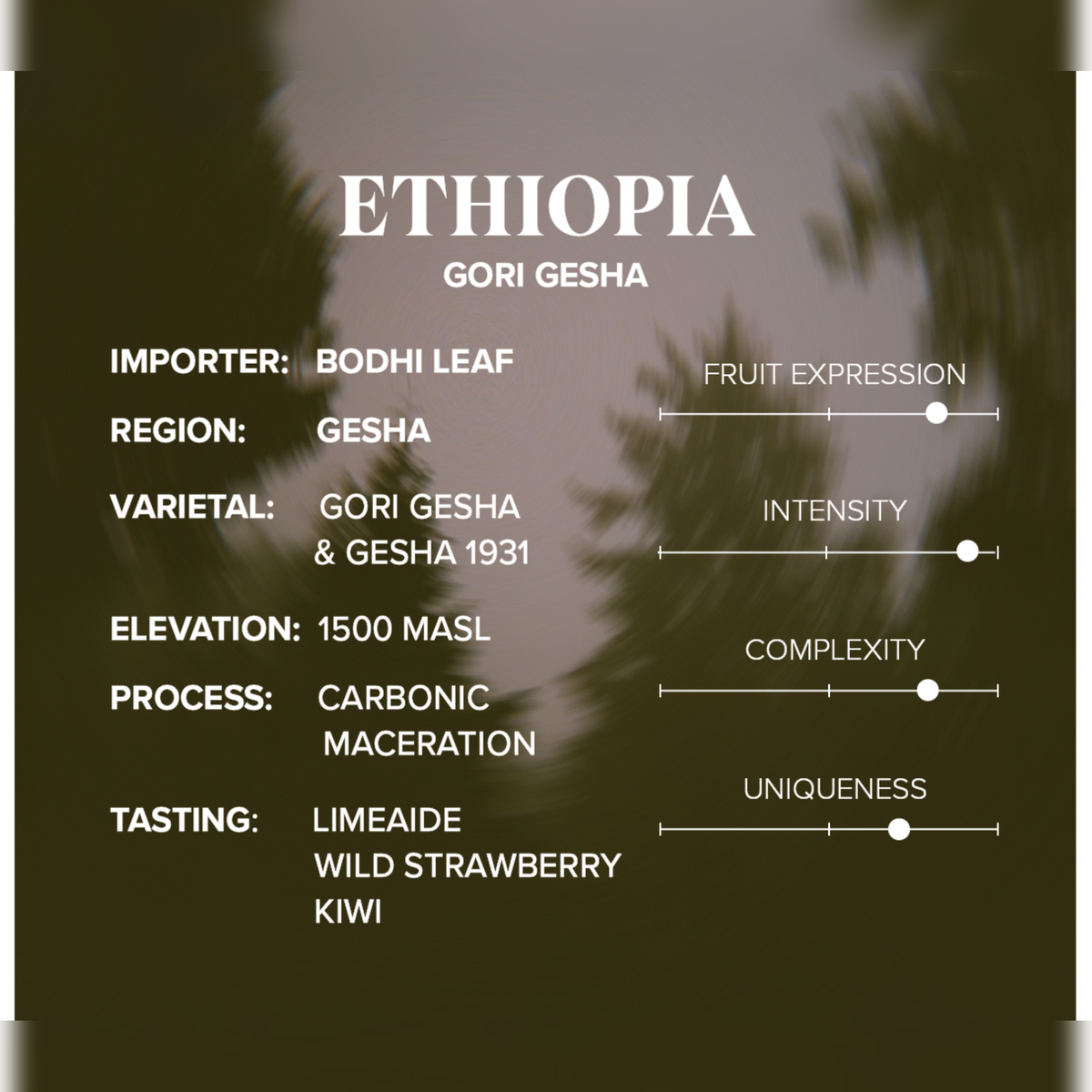 Ethiopia Gori Gesha tasting notes and sourcing card