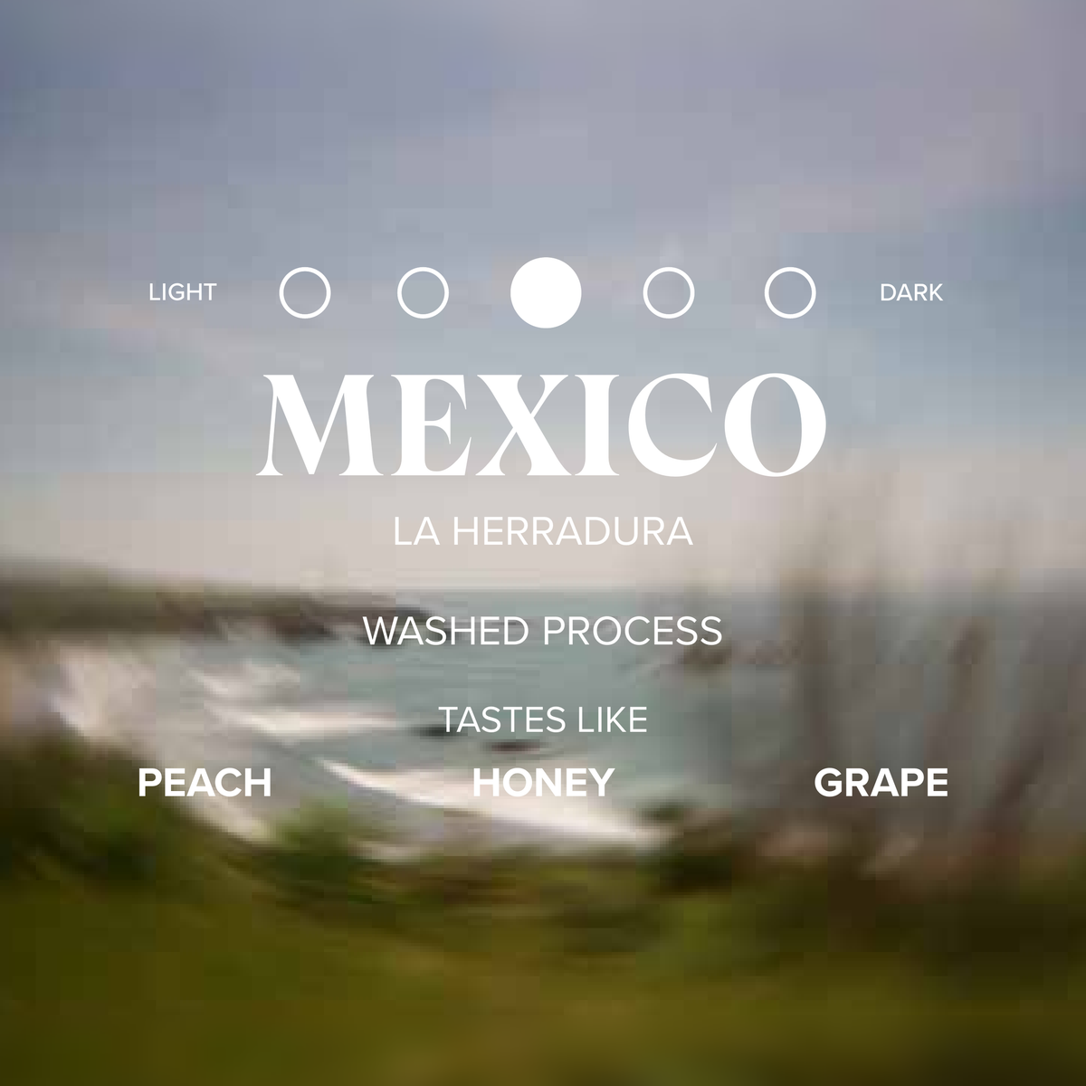 Mexico La Herradura label front